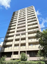 ネバーランド南堀江